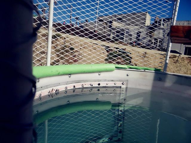 PRODUCTO - Dunk Tank